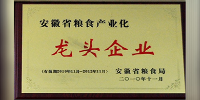 安徽糧食產業化龍頭企業